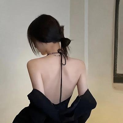 密探海芮：部落格大战